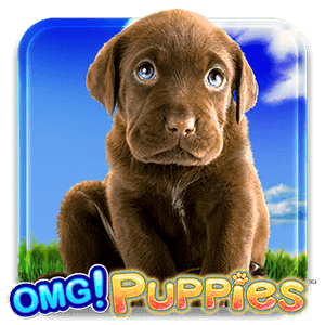 OMG! PUPPIES™ SLOT MACHINE